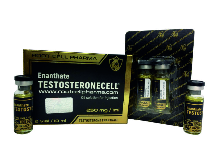 Testosterone root cell