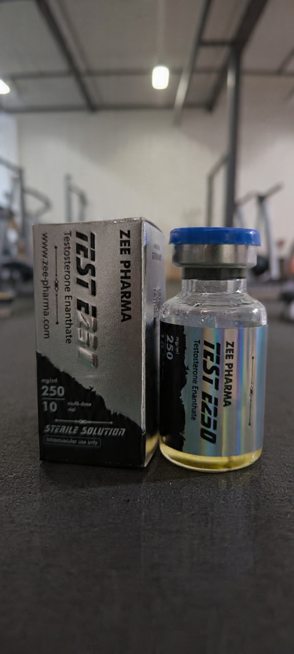 Testosterone Enanthate 250 Zee Pharma in Pakistan
